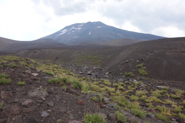 Vista Volcán Lonquimay