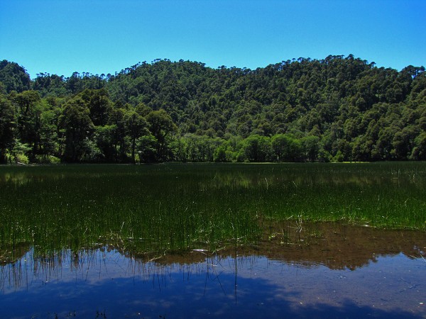 Laguna la Totora