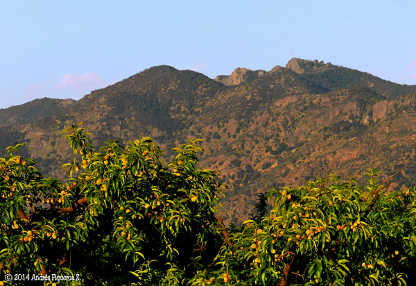 Cerro Trocalán