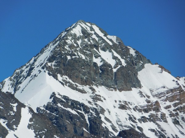 Cerro Picarte