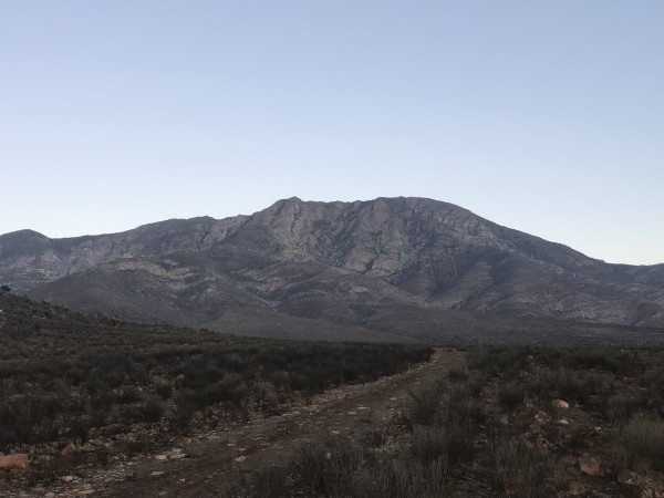 Cerro Tamaya