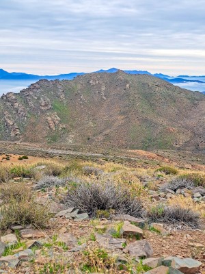 Cerro Chivato mirado desde la cumbre del cerro innominado 