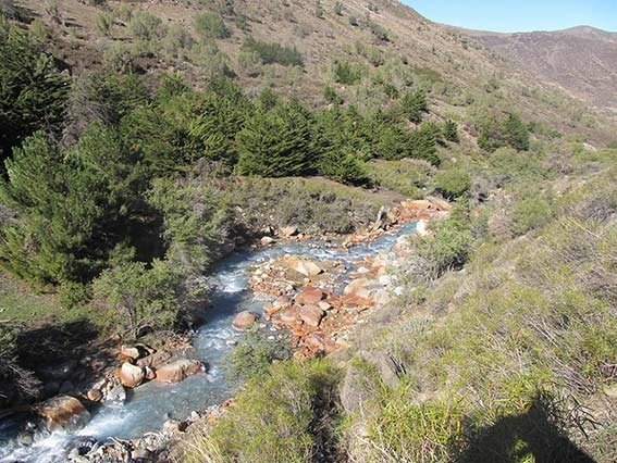 Estero Yerba Loca